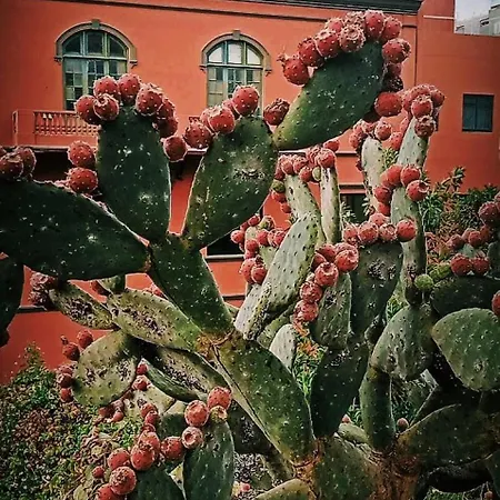 펜션 Casa De Guia *